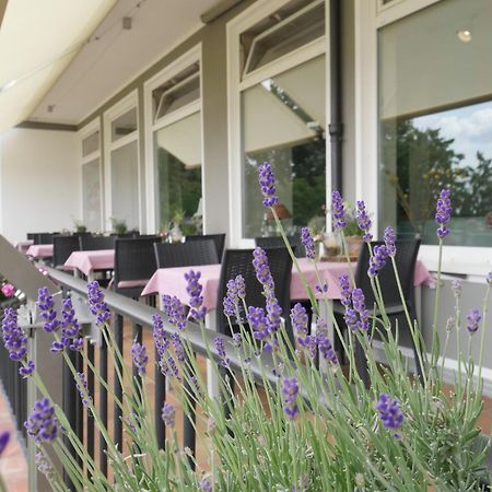 Hotel Faehrhaus Km734 뒤셀도르프 외부 사진
